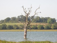 Rutland Water Nature Reserve - Lyndon